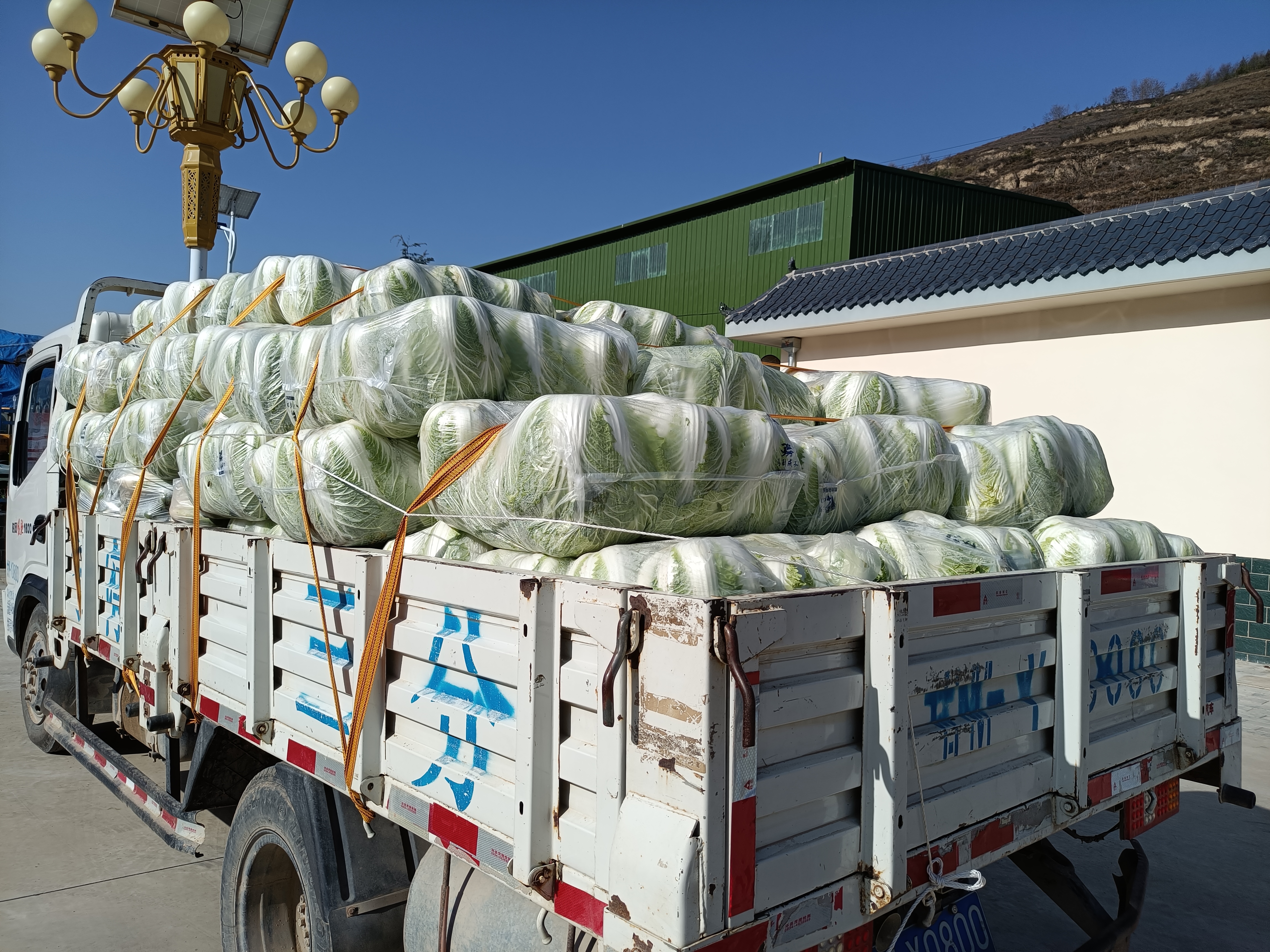 微信图片_20221031103132 微信图片_20221031103132