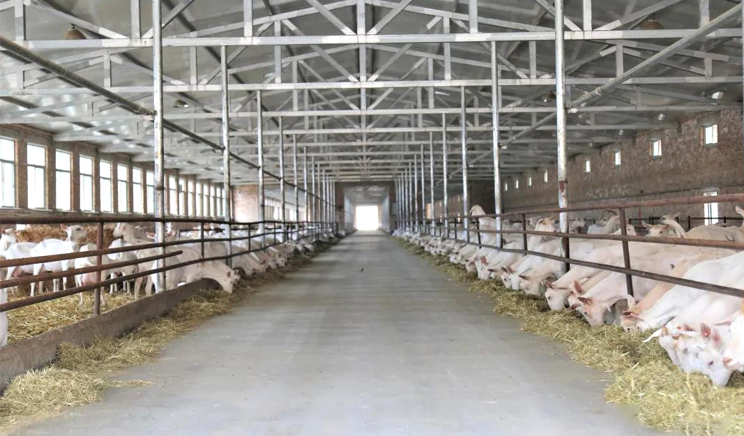 微信图片_20221031105704