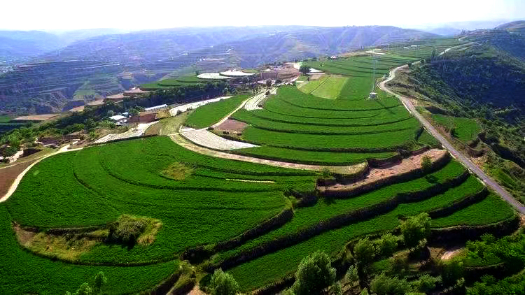 微信图片_20221031105659